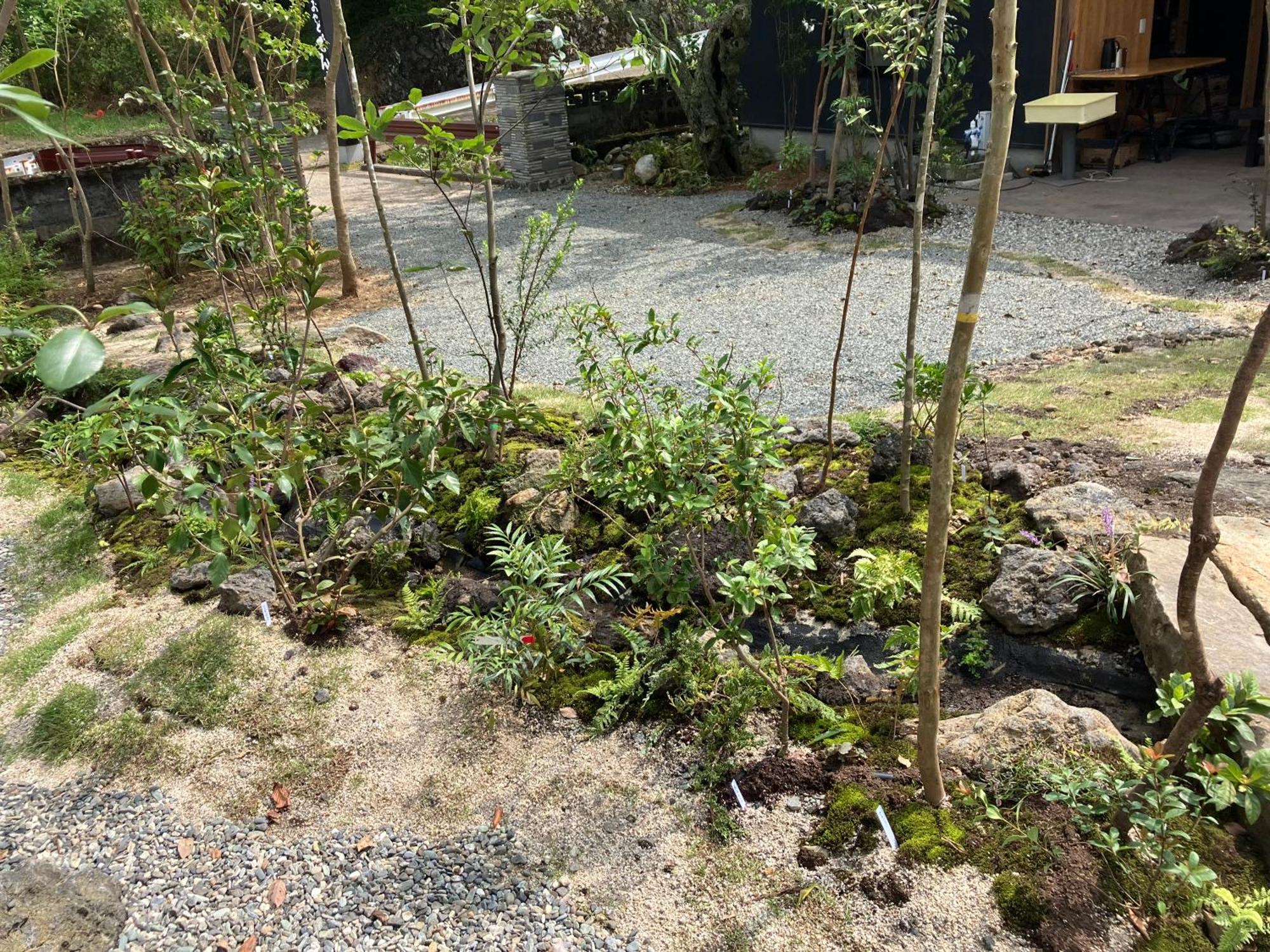 お宿でん吉 Minamiaso Eksteriør bilde